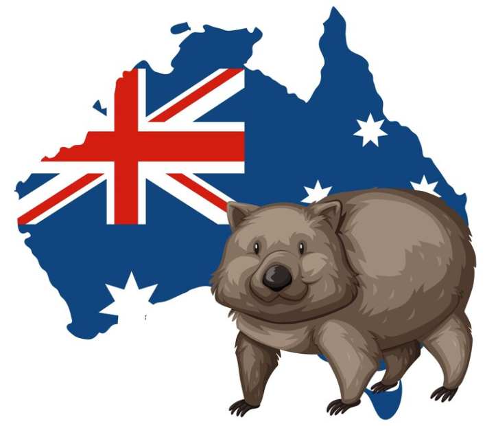 Illustration of Wombat and Australian Flag
