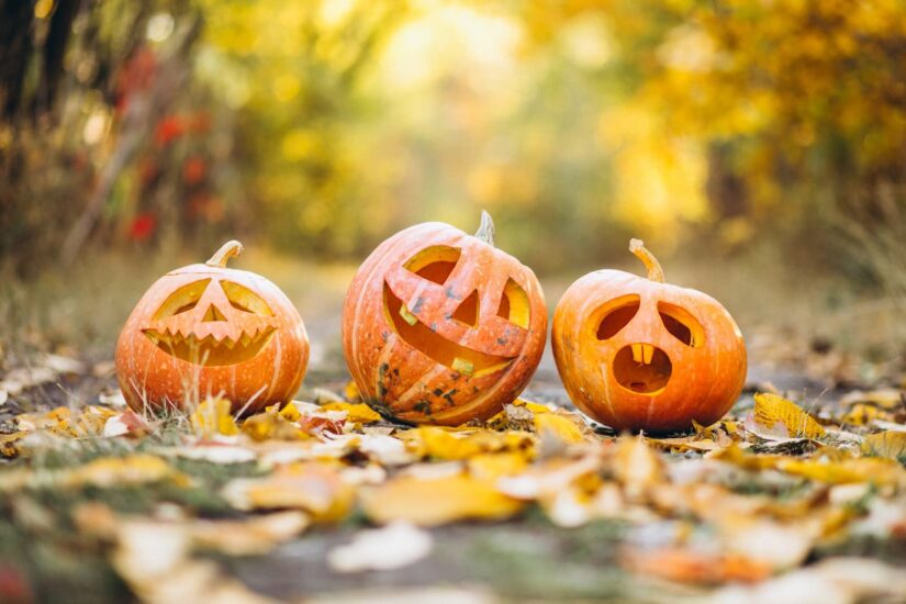 Three halloween pumpkins in autumn park
